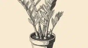 Several ZZ plant leaf cuttings placed in a glass of water, with small white roots beginning to sprout, illustrating an easy method for ZZ plant propagation.